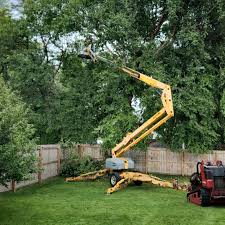 Best Lawn Watering Services  in Kean University, NJ