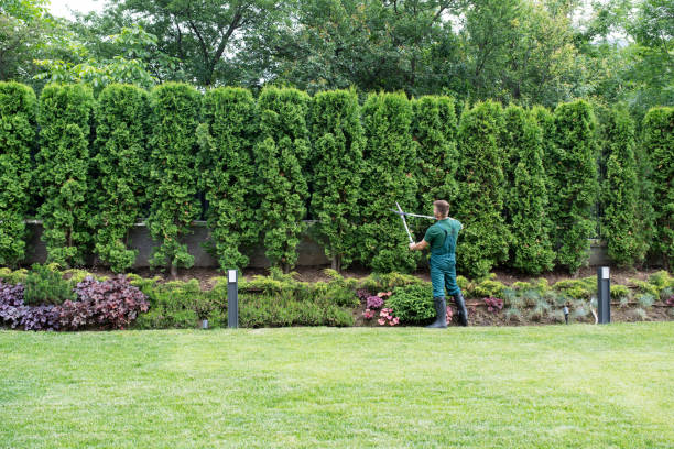 Best Emergency Tree Removal  in Kean University, NJ